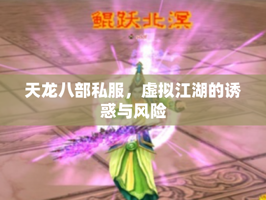 天龙八部私服，虚拟江湖的诱惑与风险