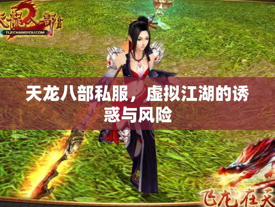 天龙八部私服，虚拟江湖的诱惑与风险