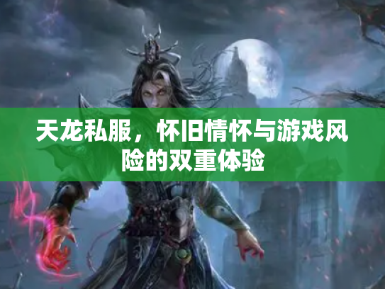 天龙私服，怀旧情怀与游戏风险的双重体验