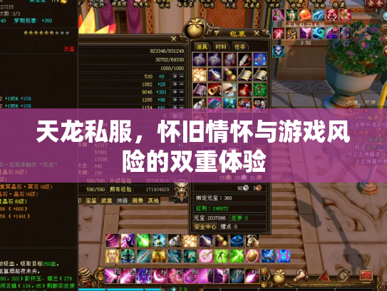 天龙私服，怀旧情怀与游戏风险的双重体验