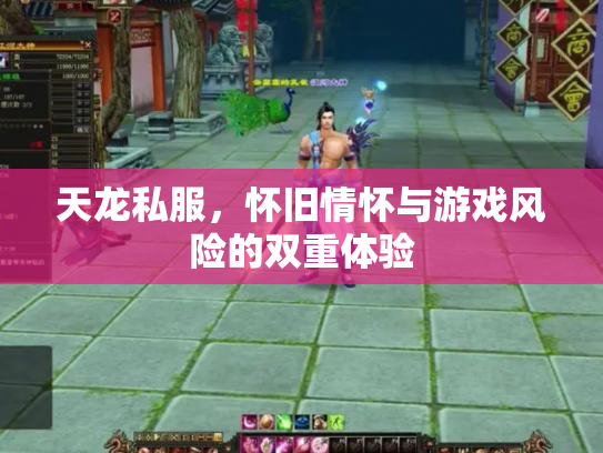 天龙私服，怀旧情怀与游戏风险的双重体验