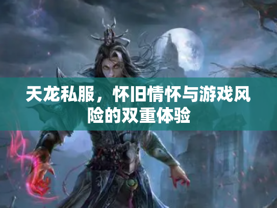 天龙私服，怀旧情怀与游戏风险的双重体验