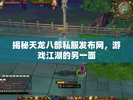 揭秘天龙八部私服发布网，游戏江湖的另一面