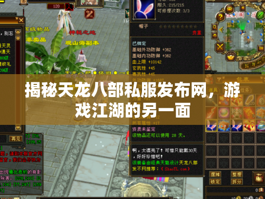揭秘天龙八部私服发布网，游戏江湖的另一面