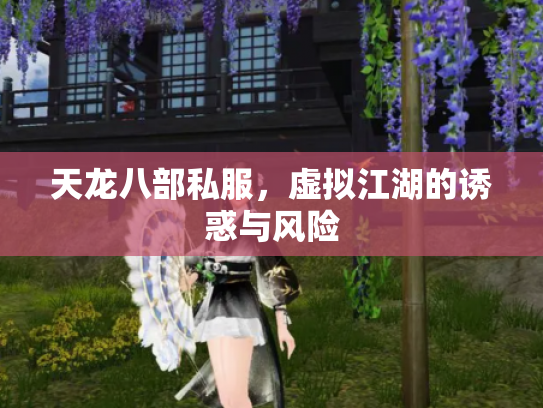 天龙八部私服，虚拟江湖的诱惑与风险