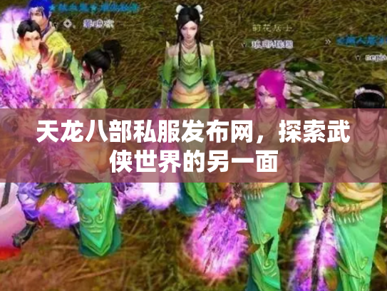 天龙八部私服发布网，探索武侠世界的另一面