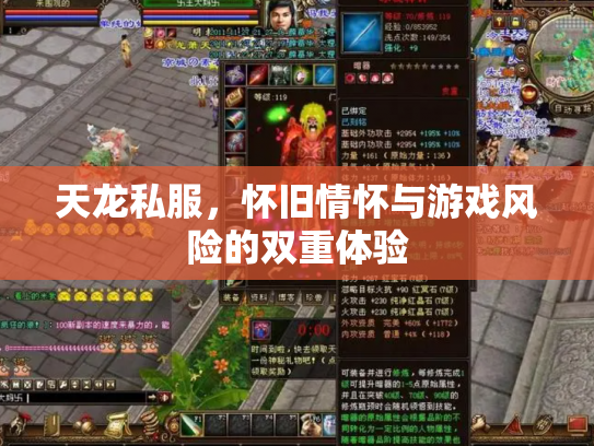 天龙私服，怀旧情怀与游戏风险的双重体验