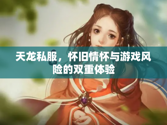 天龙私服，怀旧情怀与游戏风险的双重体验