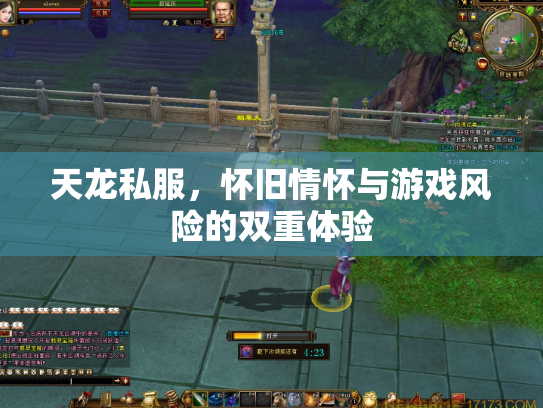 天龙私服，怀旧情怀与游戏风险的双重体验