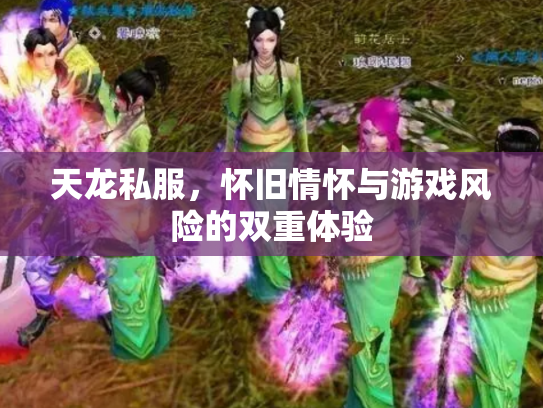 天龙私服，怀旧情怀与游戏风险的双重体验