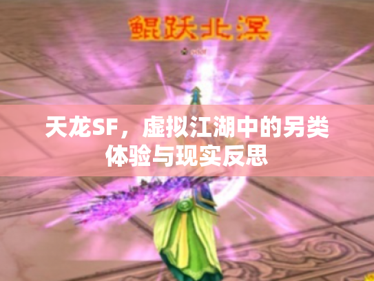 天龙SF，虚拟江湖中的另类体验与现实反思