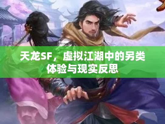 天龙SF，虚拟江湖中的另类体验与现实反思
