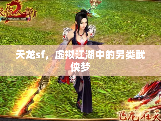 天龙sf，虚拟江湖中的另类武侠梦