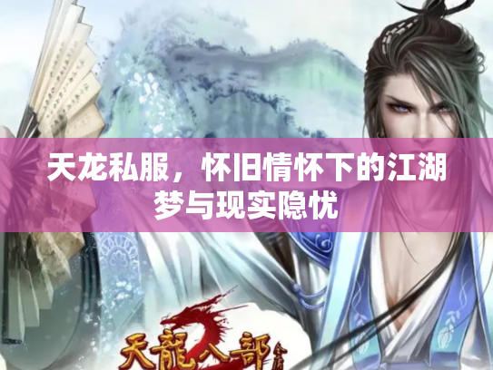 天龙私服，怀旧情怀下的江湖梦与现实隐忧