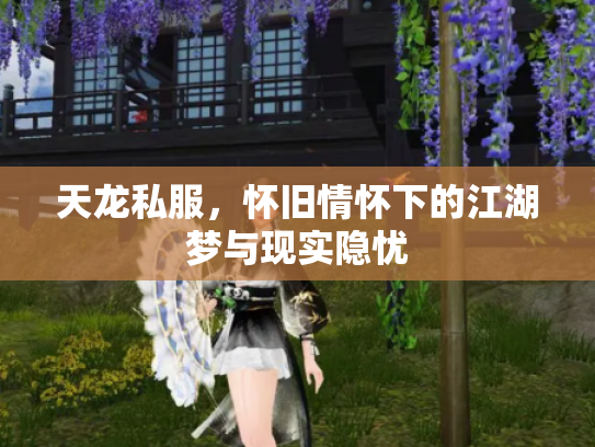 天龙私服，怀旧情怀下的江湖梦与现实隐忧