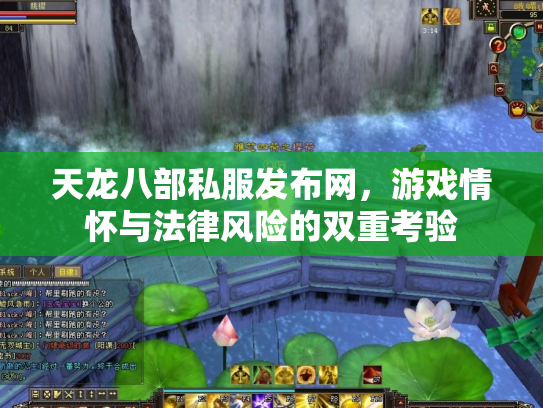 天龙八部私服发布网，游戏情怀与法律风险的双重考验