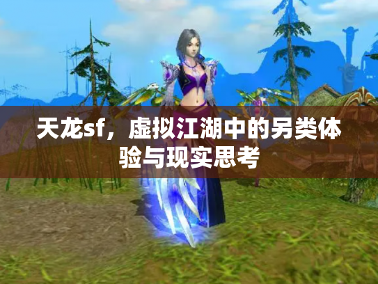 天龙sf，虚拟江湖中的另类体验与现实思考