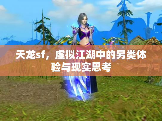 天龙sf，虚拟江湖中的另类体验与现实思考