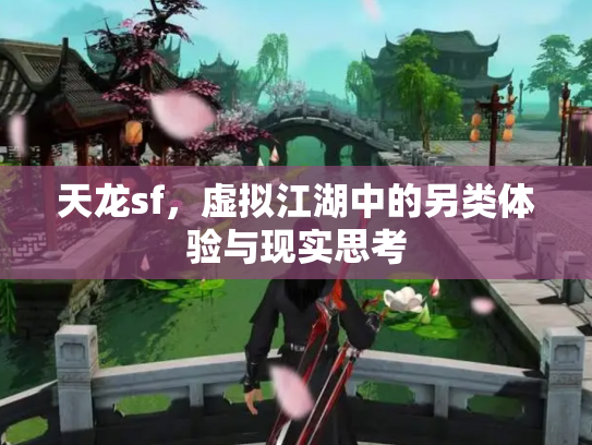 天龙sf，虚拟江湖中的另类体验与现实思考