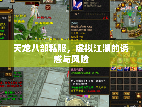 天龙八部私服，虚拟江湖的诱惑与风险