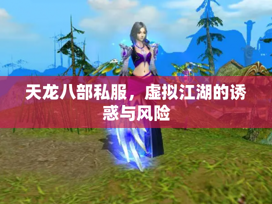 天龙八部私服，虚拟江湖的诱惑与风险
