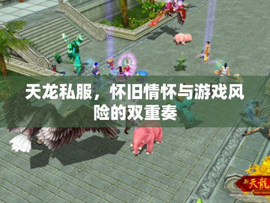 天龙私服，怀旧情怀与游戏风险的双重奏
