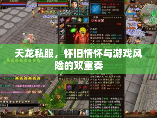 天龙私服，怀旧情怀与游戏风险的双重奏