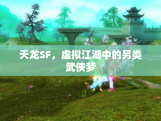 天龙SF，虚拟江湖中的另类武侠梦