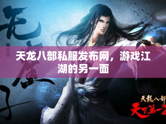 天龙八部私服发布网，游戏江湖的另一面