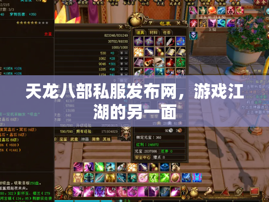 天龙八部私服发布网，游戏江湖的另一面