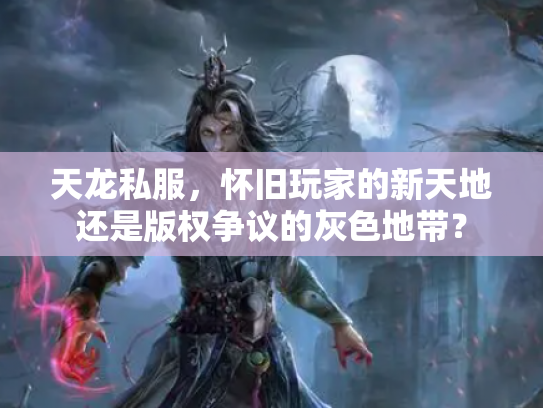 天龙私服，怀旧玩家的新天地还是版权争议的灰色地带？