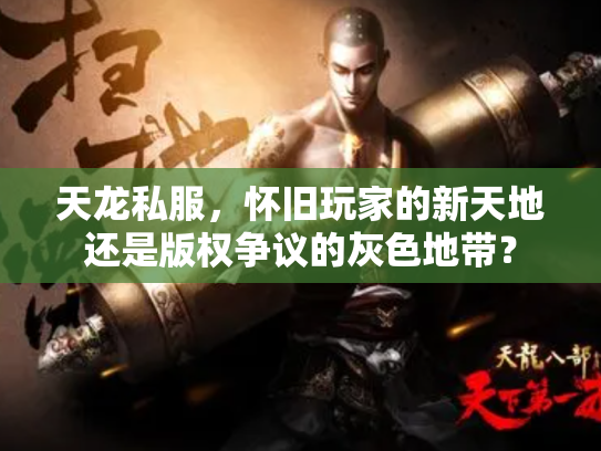 天龙私服，怀旧玩家的新天地还是版权争议的灰色地带？