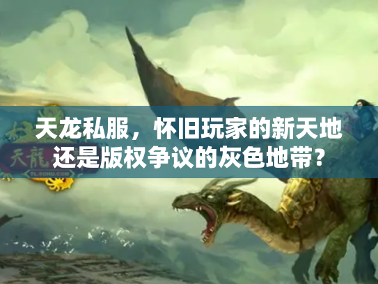 天龙私服，怀旧玩家的新天地还是版权争议的灰色地带？