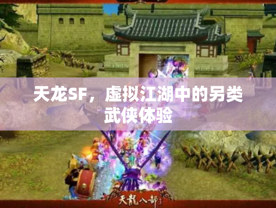 天龙SF，虚拟江湖中的另类武侠体验