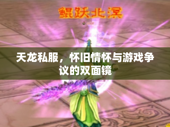 天龙私服，怀旧情怀与游戏争议的双面镜