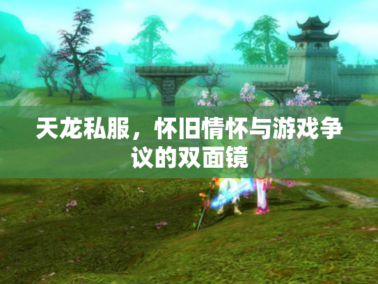 天龙私服，怀旧情怀与游戏争议的双面镜