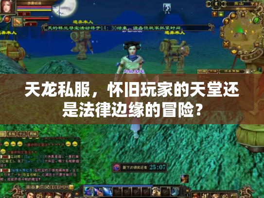 天龙私服，怀旧玩家的天堂还是法律边缘的冒险？