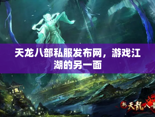 天龙八部私服发布网，游戏江湖的另一面