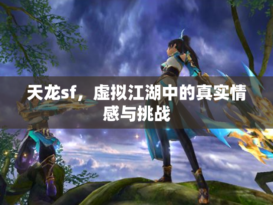天龙sf，虚拟江湖中的真实情感与挑战