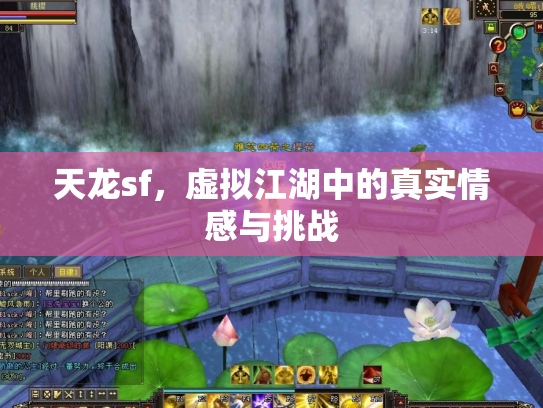 天龙sf，虚拟江湖中的真实情感与挑战