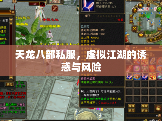 天龙八部私服，虚拟江湖的诱惑与风险
