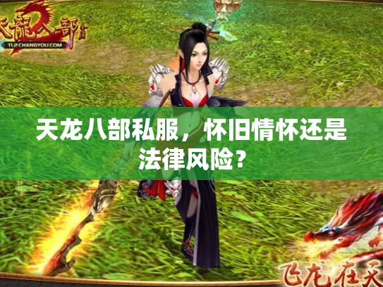 天龙八部私服，怀旧情怀还是法律风险？