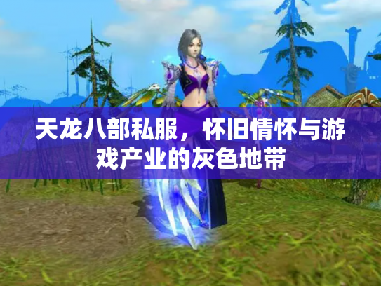 天龙八部私服，怀旧情怀与游戏产业的灰色地带