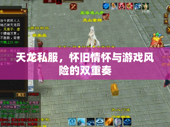 天龙私服，怀旧情怀与游戏风险的双重奏