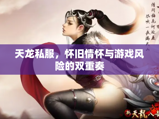 天龙私服，怀旧情怀与游戏风险的双重奏