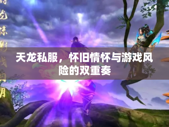 天龙私服，怀旧情怀与游戏风险的双重奏