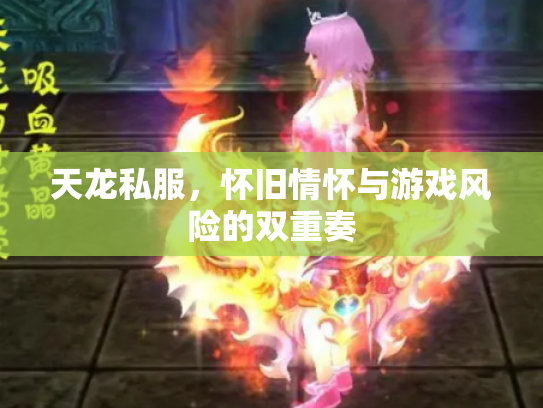 天龙私服，怀旧情怀与游戏风险的双重奏