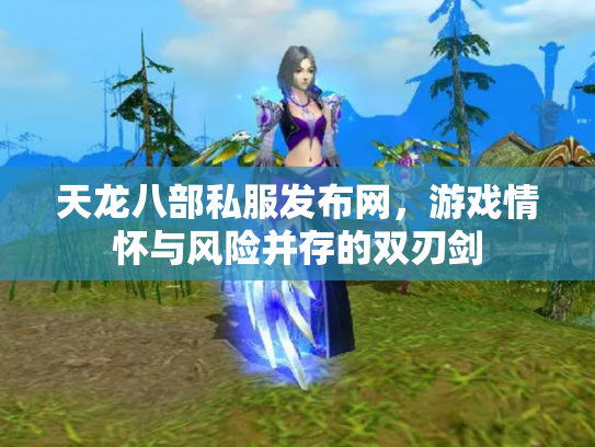 天龙八部私服发布网，游戏情怀与风险并存的双刃剑