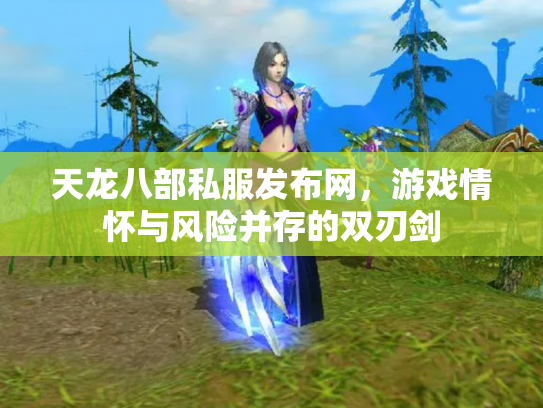 天龙八部私服发布网，游戏情怀与风险并存的双刃剑