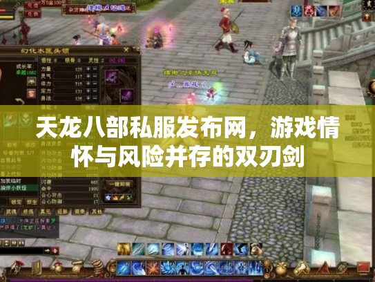 天龙八部私服发布网，游戏情怀与风险并存的双刃剑